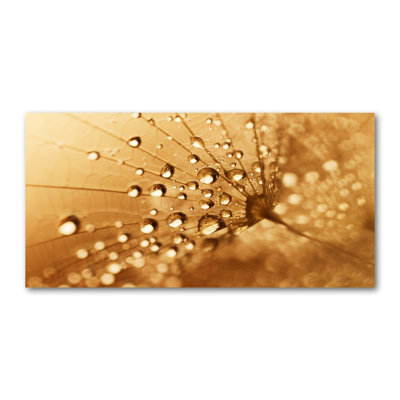 Dandelion - Wrapped Canvas Print