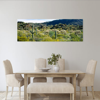 Cactus Saguaro dans un champ, désert de Sonora, Arizona, États-Unis