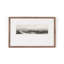 Hill Ctry Study II Print by Aileen Fitzgerald