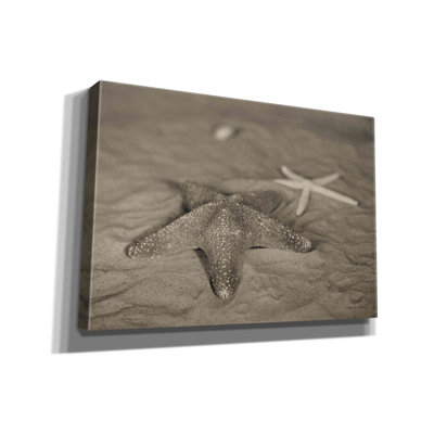 «Starfish II» par Debra Van Swearingen, art mural sur toile