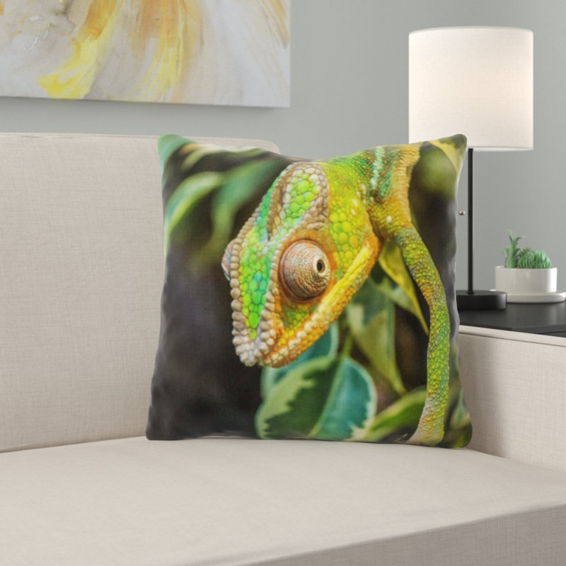 Coussin en jeté chameleon