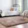 Indoor Rug