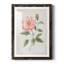 Grandiflora II - peinture encadrée-2533488-2533516