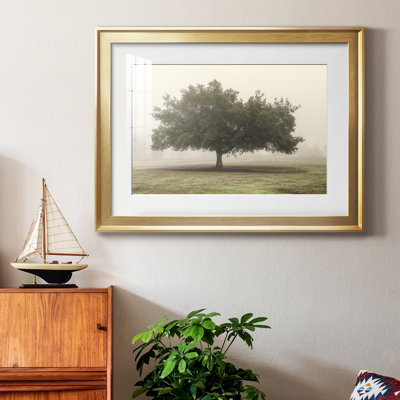 «Trees In The Fog II», reproduction encadrée de qualité supérieure - prête à être accrochée