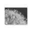 «Droplet in Time I» par Lori Deiter, reproduction d'art-129011322-129011329-129011333