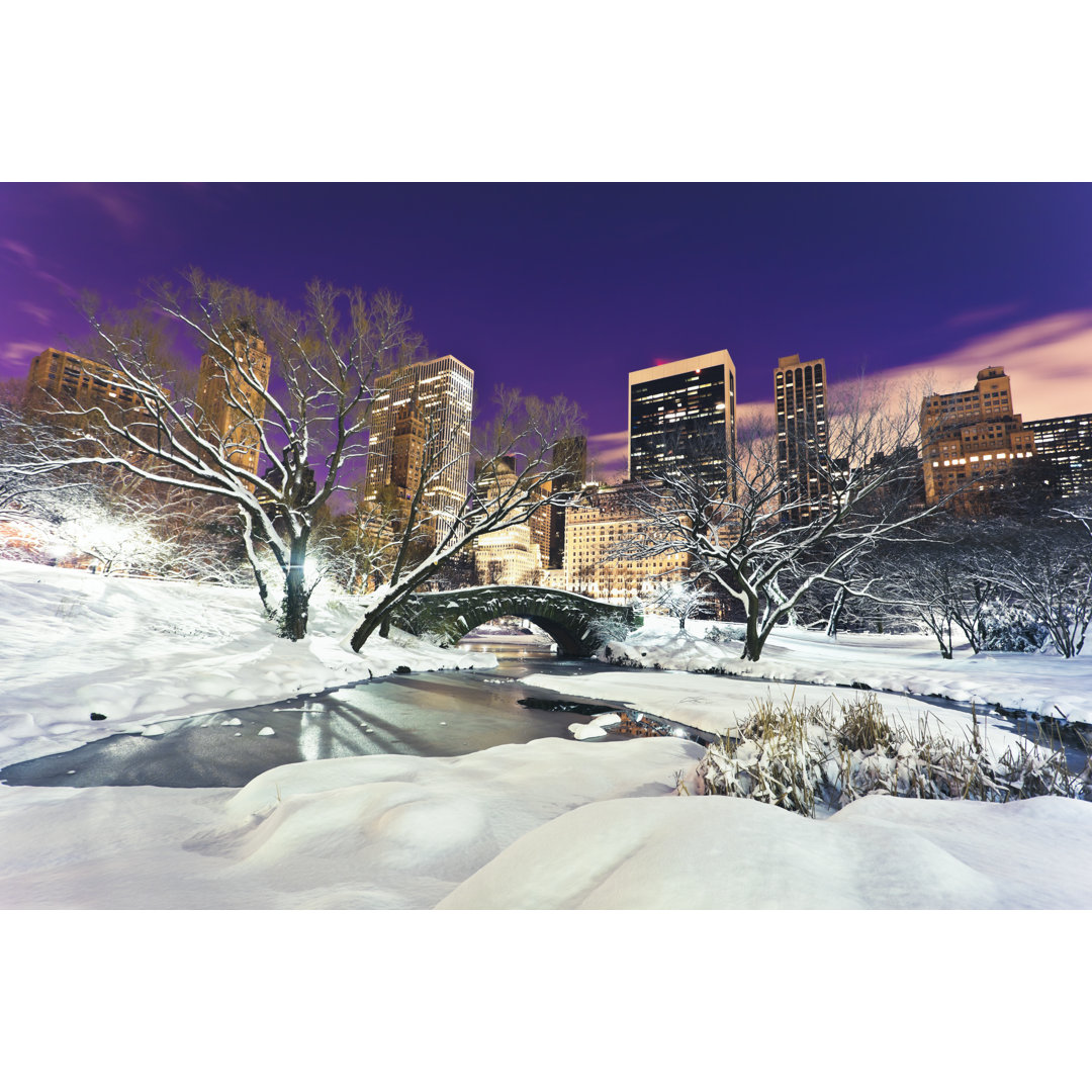 Central Park im Winter von Espiegle - Leinwanddrucke auf Leinwand