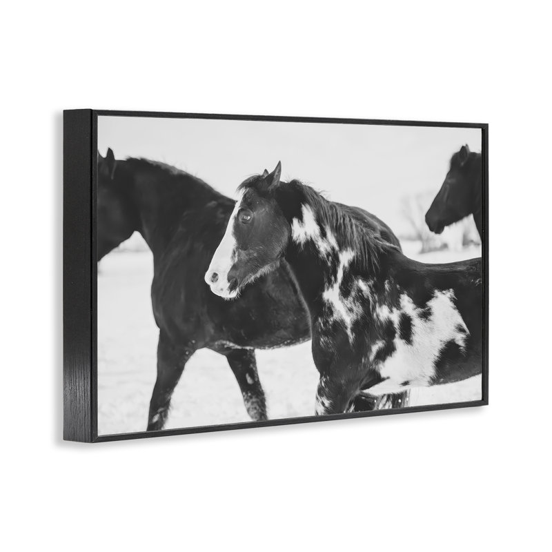 Giclée encadrée, noir et blanc, par Amy Carroll, H 12 po x l 18 po, Giclée encadrée noir minuit