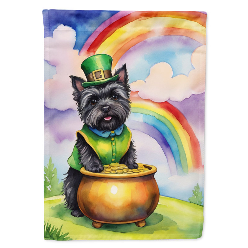 Double Sided 15.5'' H x 11.25'' W Polyester St Patrick's Day Garden Flag