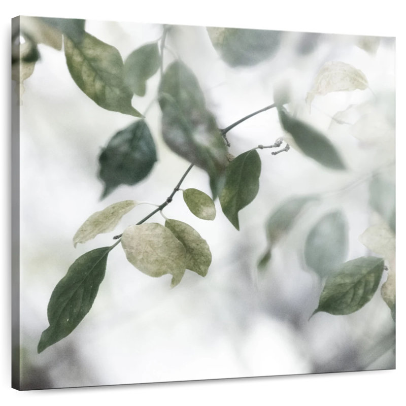 Harnek Quiet Green II
