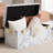 Baxton Studio Brenta Storage Trunk With Lift-Top Lid - Decorative Organizer Chest With Faux Marble Effect, Contemporary Storage Solution