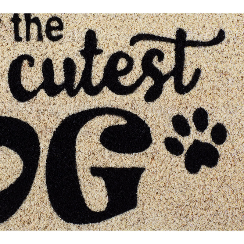 Leni Non-Slip Outdoor Doormat