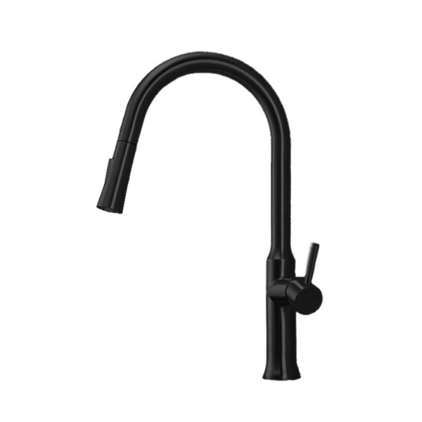 Trova Pull Down Single Handle Kitchen Faucet with Accessories, Black