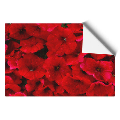 Seeing Red Flowers Painting - Frameless Print