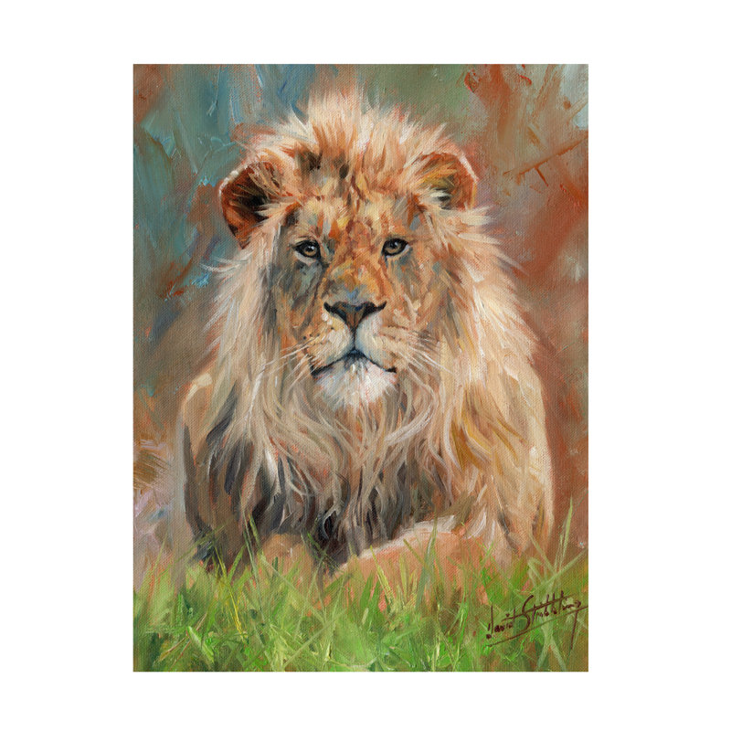 «David Stribble Lion Front», art sur toile 1012, H 14 po x l 19 po