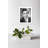 Gros plan sur Eddie Cantor - photographie non encadrée-88332269