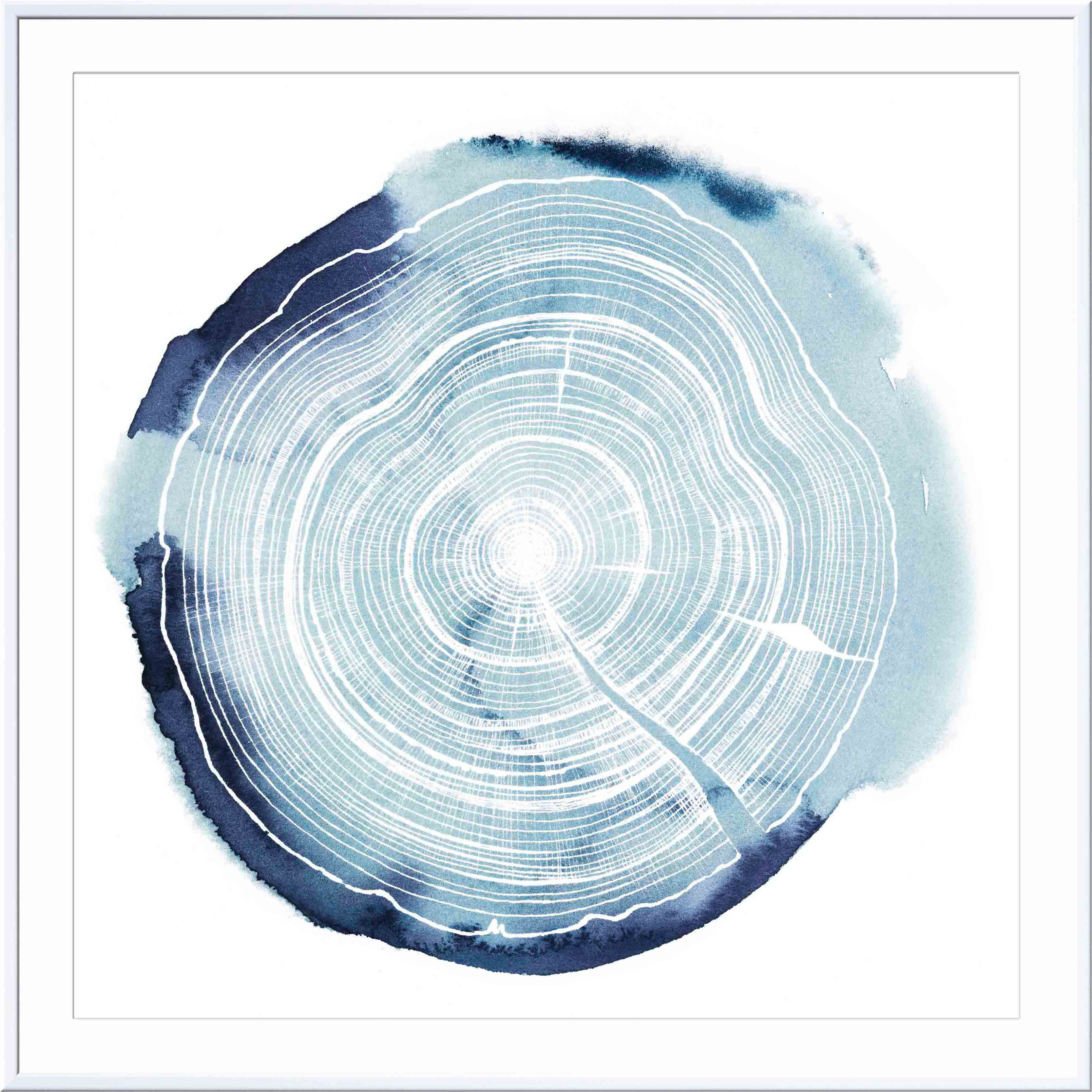 Steelside™ Tree Ring Overlay III by Grace Popp - Picture Frame Painting ...