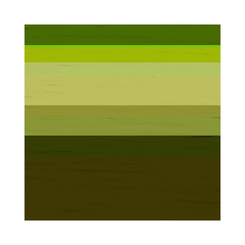 Olive Tree - Wrapped Canvas Print, 30.48 cm H x 30.48 cm W