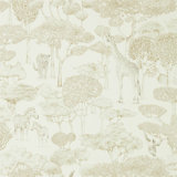 Shamwari Wallpaper