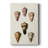 Cone Shell Collection IV -Custom Wrapped Gallery Cavas