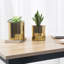 Jaspal Plated Pot Planter Indoor-1827995509
