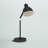 Caskey Lennon Adjustable Desk Lamp with Power Outlet