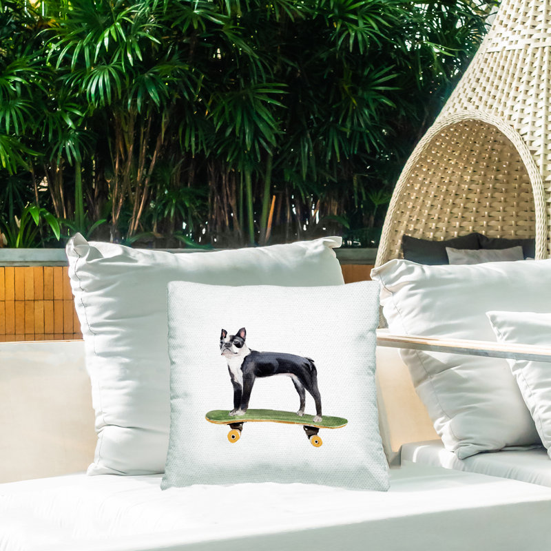Coussin Curious Boston Terroir Pet Dog on Green Skateboard