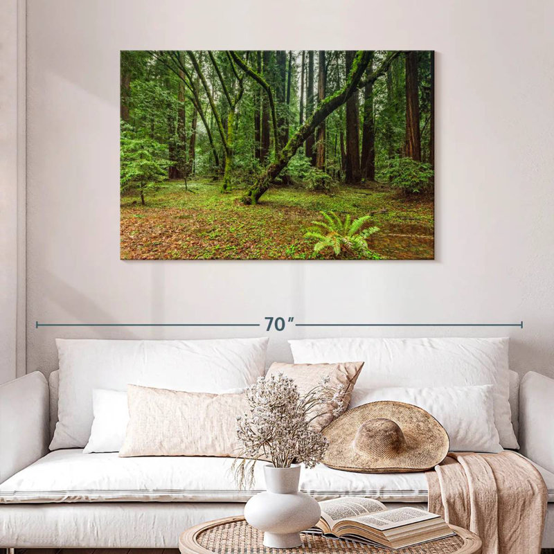Alvord Muir Woods Forest