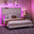 Upholstered Platform Bed with LED Lights-1603567528