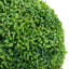 Faux Boxwood Plant in Pot-1548992526