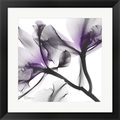 «Lavender Luster 1» par Albert Koetsier - Cadre photo unique, impression