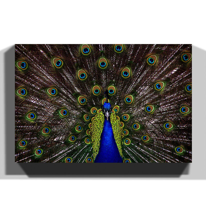 Wrapped Canvas Painting, 35cm H x 50cm W