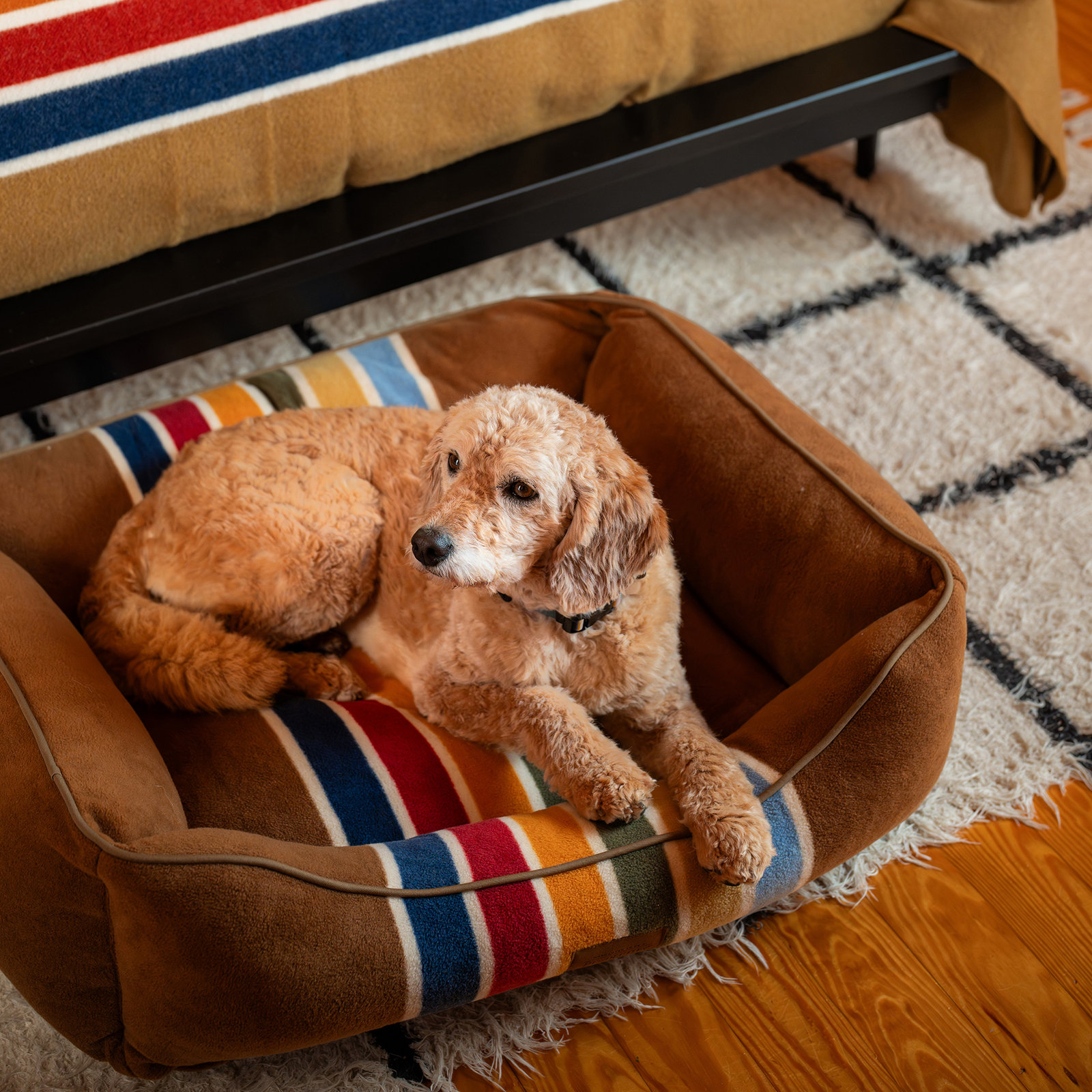 Pendleton Grand Canyon Kuddler Dog Bed, X-Large (10.5" H x 42" W x 30" D), Joshua Tree