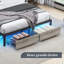 Upholstered Bed