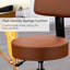 Bonifaz Backed Adjustable Height Lab Stool