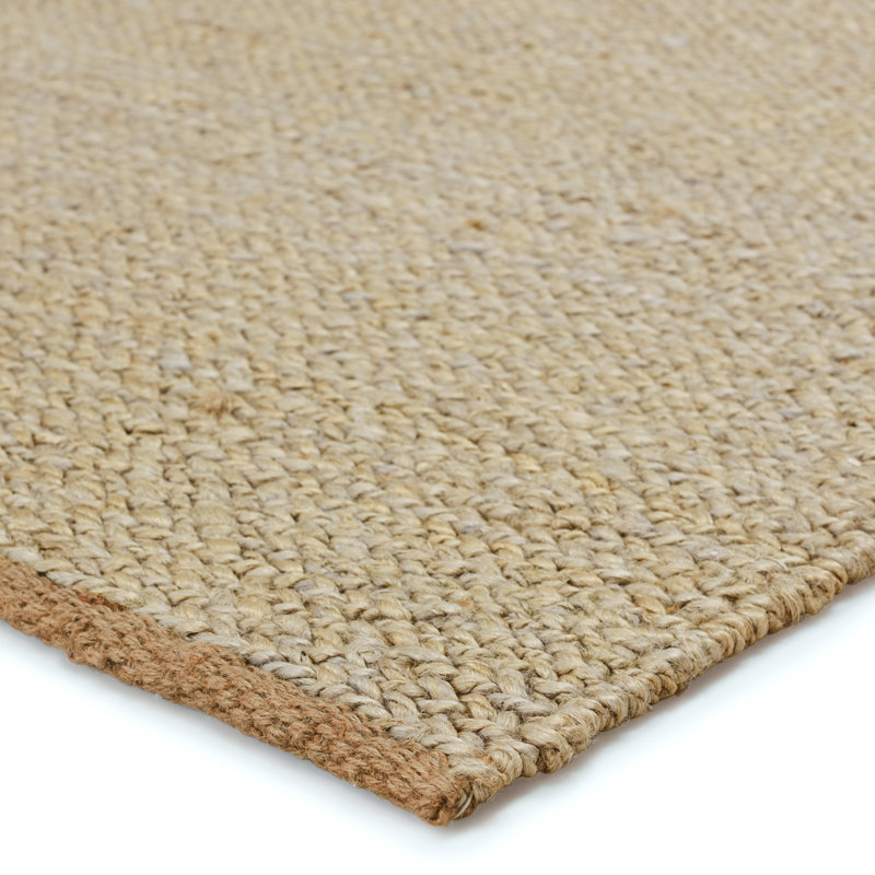 Jute / Sisal Area Rug in Angora/Oatmeal/Tuffet/Apple Cinnamon, Rectangle 2' x 3'