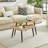 Jisella 2 Piece Semi Nesting Asymmetric Coffee Table Set-804233845