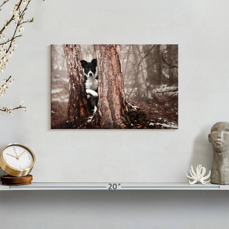 Brampt Playful Border Collie, 8'' H x 12'' W