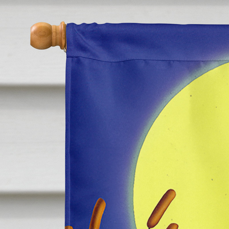 Drapeau de jardin Fentes Frog Love Love, Vert / bleu / jaune