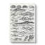 Study of Reptiles by Oliver Goldsmith - Wrapped Canvas Drawing - Wrapped Canvas-55338553