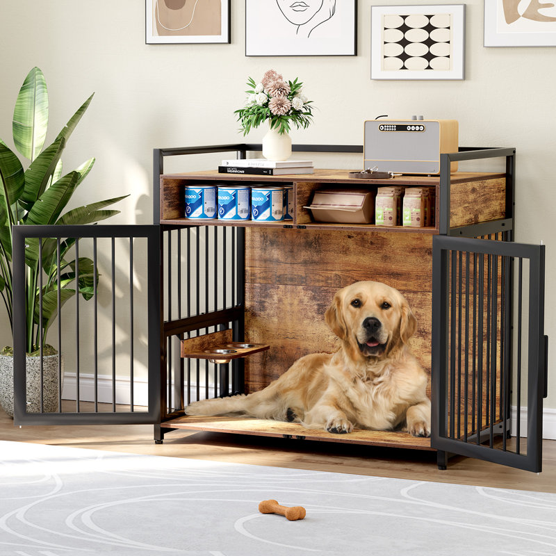 Cat Cage