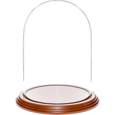 Cloche à dôme en verre 5,5 "x 8" Vucciria