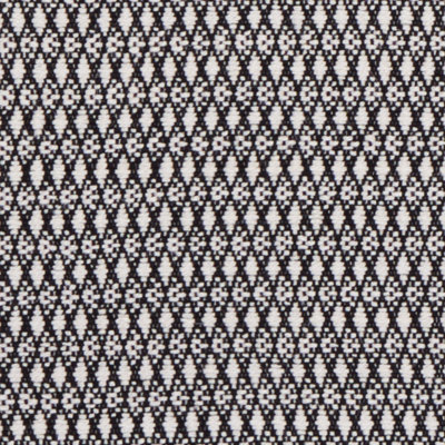 Zoila Fabric