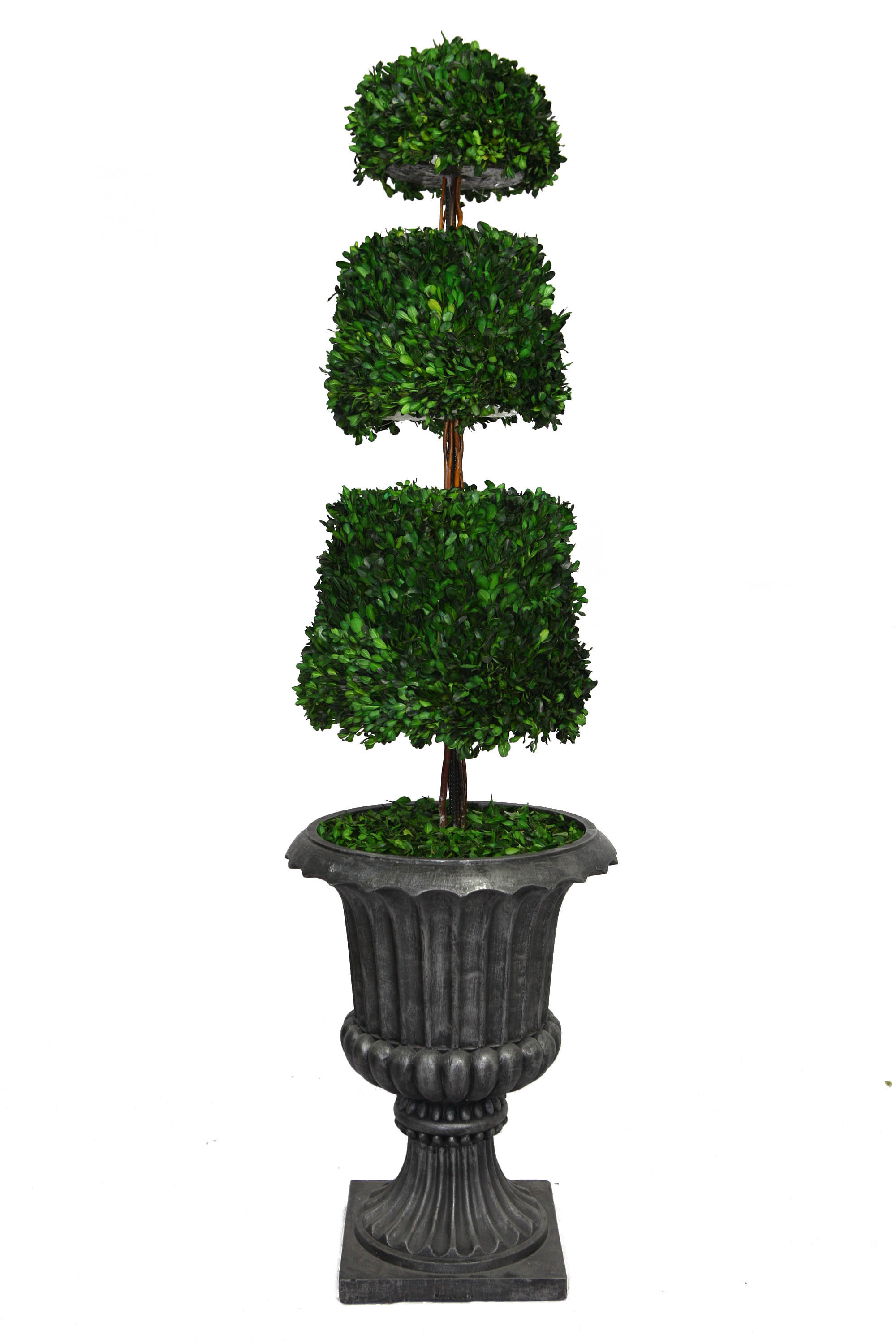 Topiaire Buis Préservé En Pot – Boule De 27,9 Cm, Verte Toute L’année, Sans Entretien, Décoration Maison/bureau