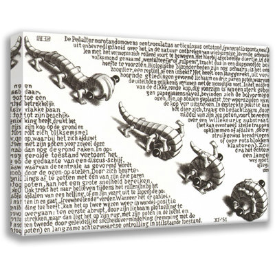 Curl Up by M.C.Escher Gallery Wrapped Canvas