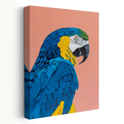 Blue And Gold Macaw - Animals Bird Black Blue