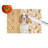 Welsh Springer Spaniel Heirloom Fall Glass Cutting Board
