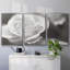 Roseudes IV - Toile encadrée multi-pièces-314373214-314373208