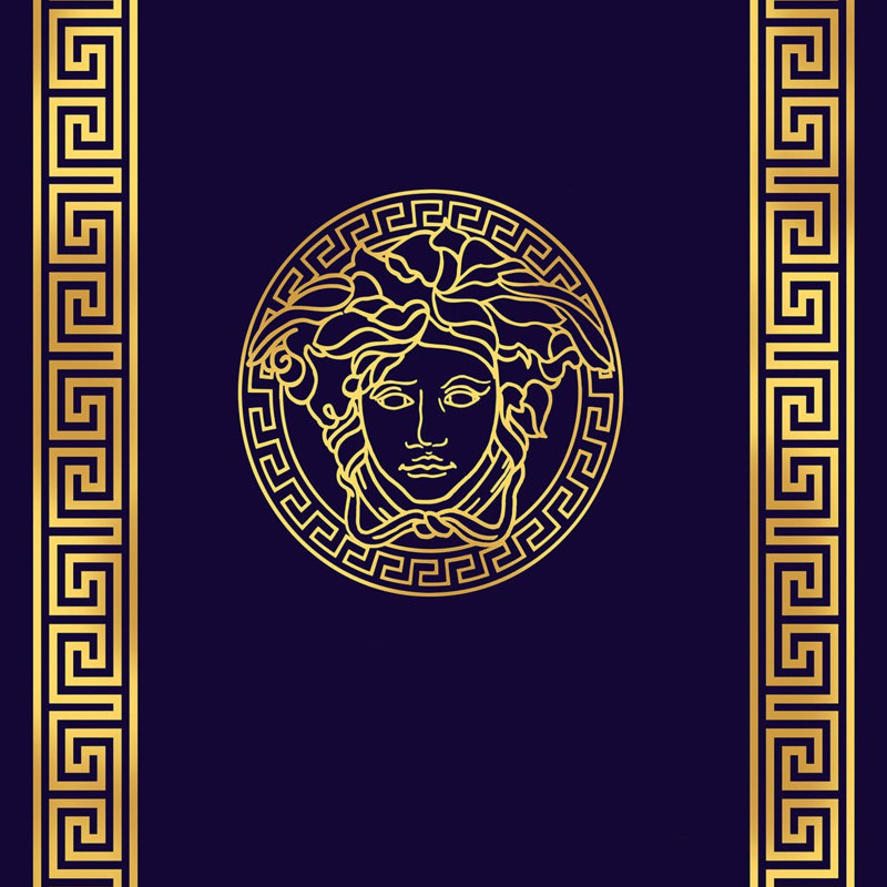 Tapis oriental rectangulaire en polyester tissé à la machine 5 pi 11 po x 9 pi 2 po Refton
