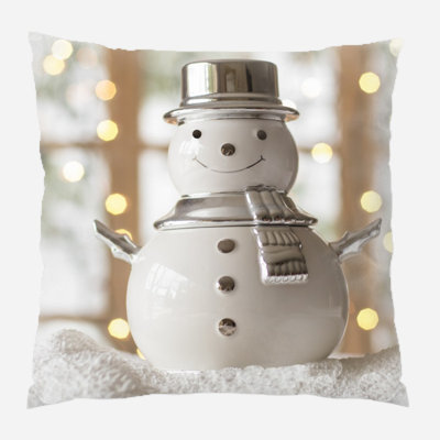 Canvas Outdoor Reversible Throw Pillow