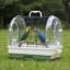 36cm Plastic / Acrylic Travel Bird Cage